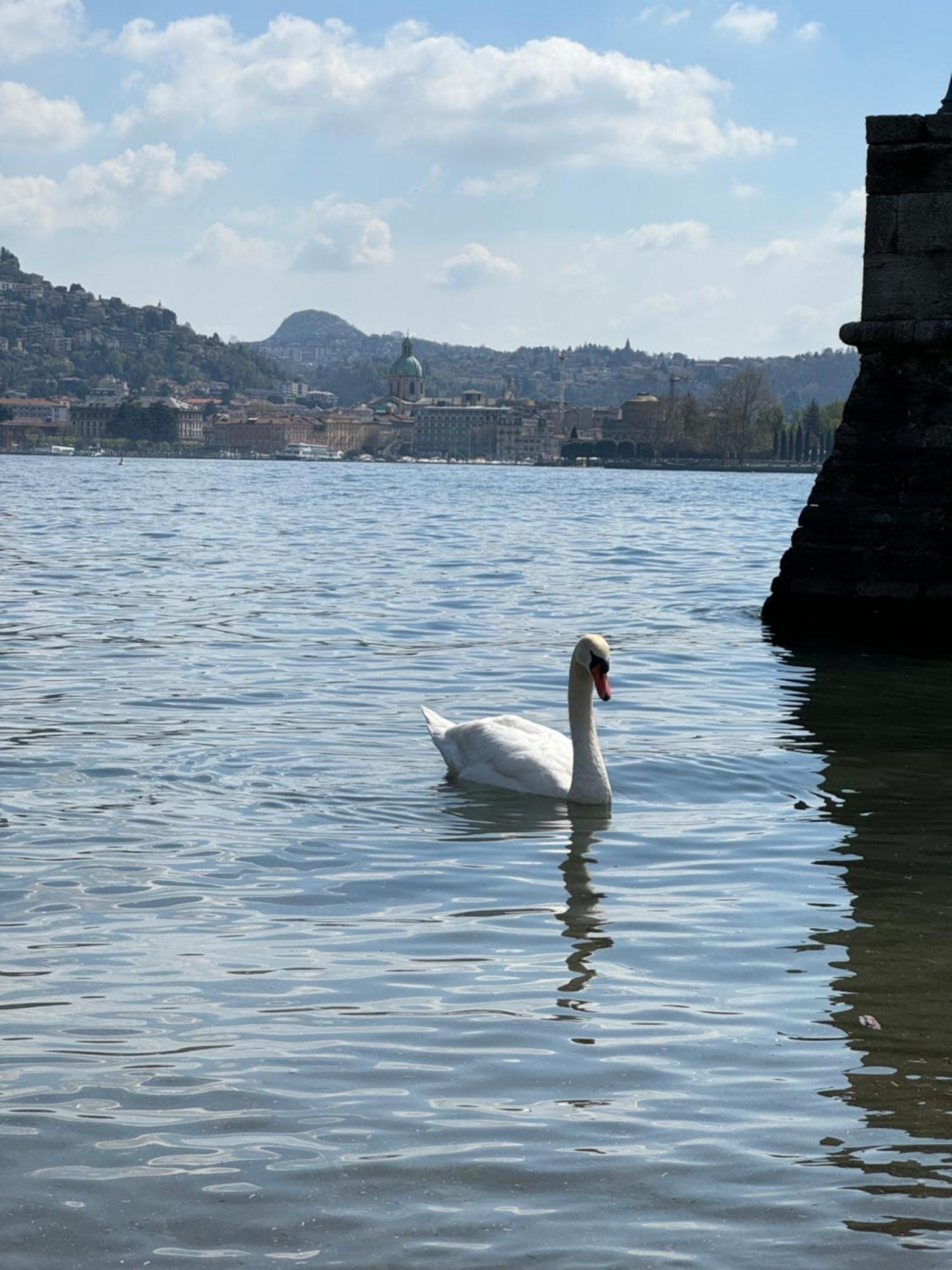 Portatorre Suite, A Charming In The Heart Of Como, Free Private Parking, Air Conditioning & More! Côme